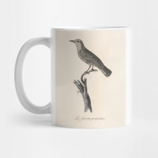 The Prothonotary Warbler Mug